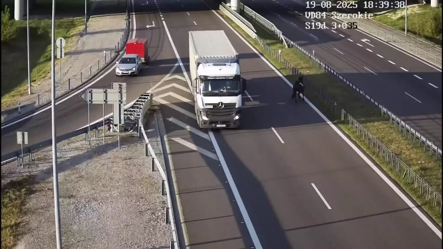 Koń na ekspresówce.mp4