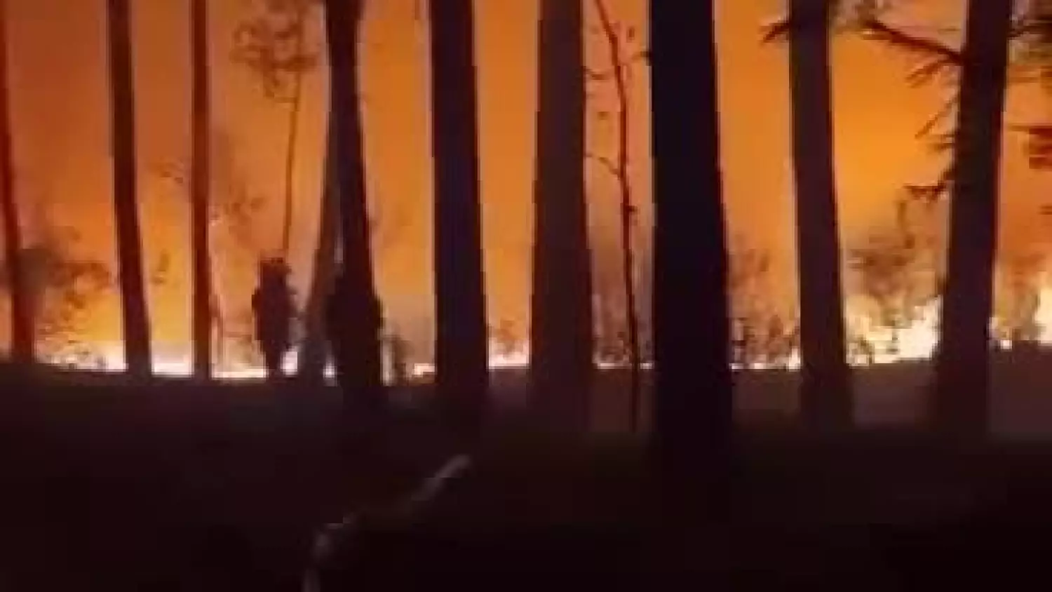 1000029991.mp4