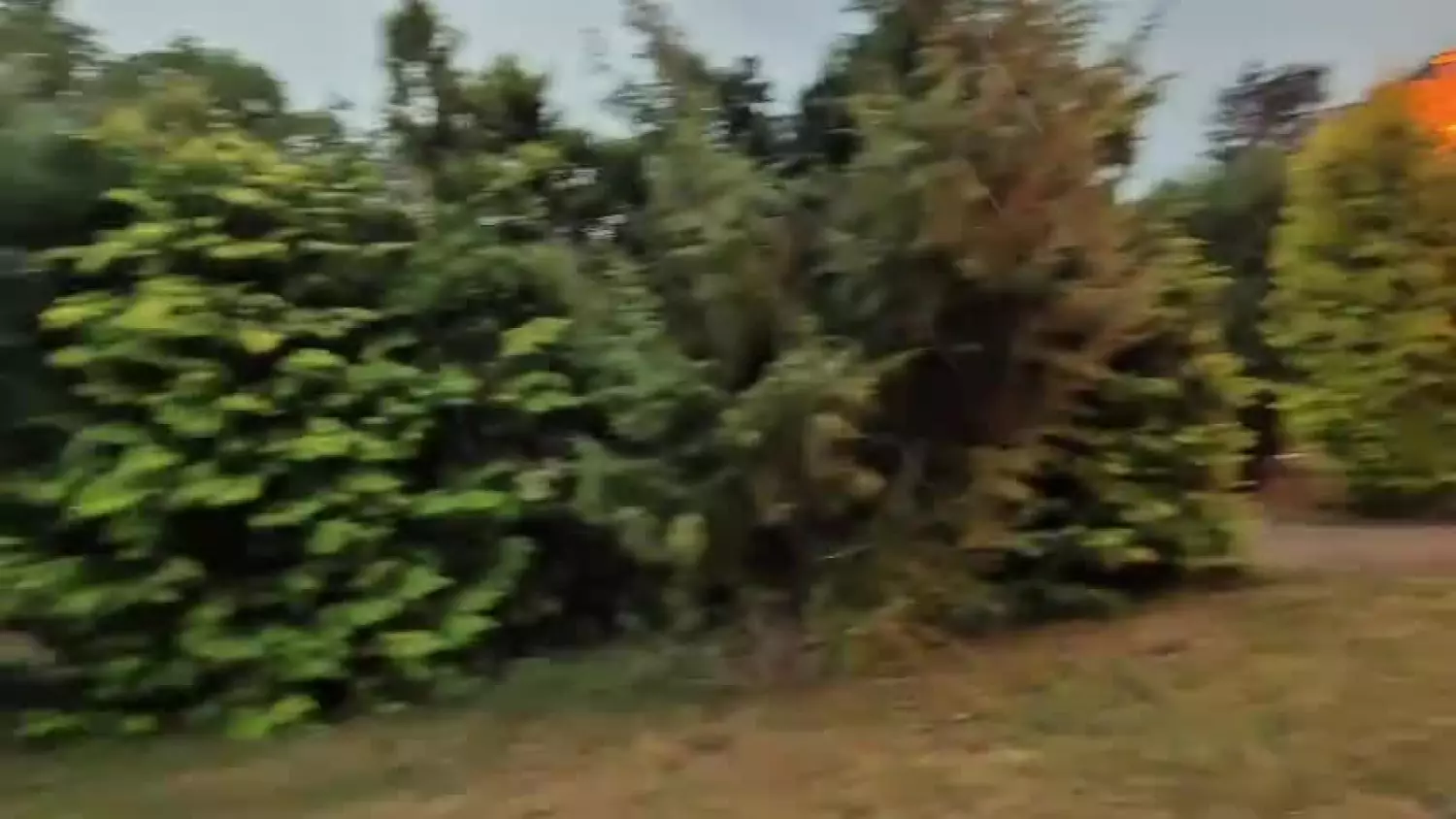 Pożar w Rakowiskach 1.mp4