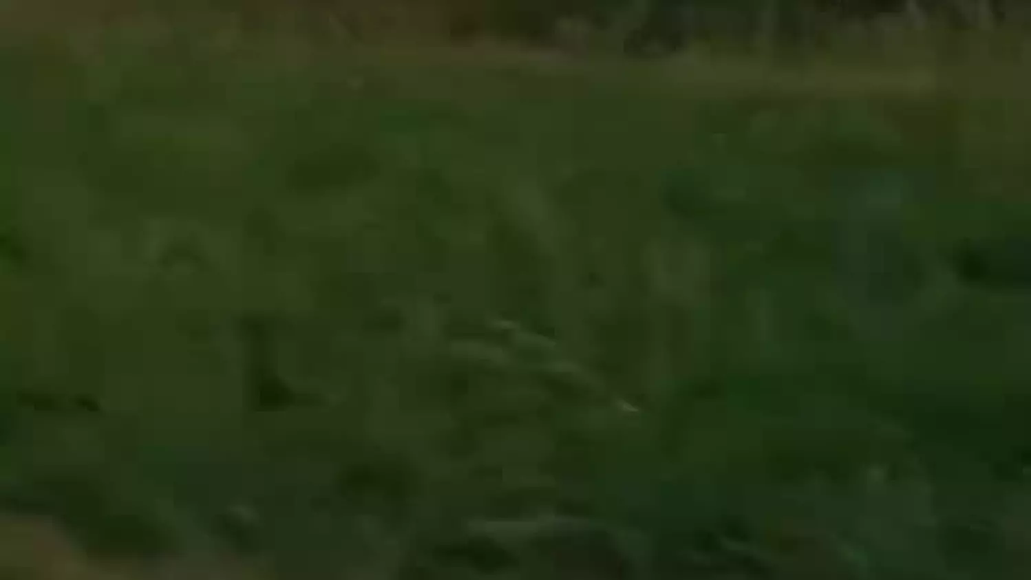 Straty po burzy na trasie między Parczewem a Radzyniem Podlaskim.mp4