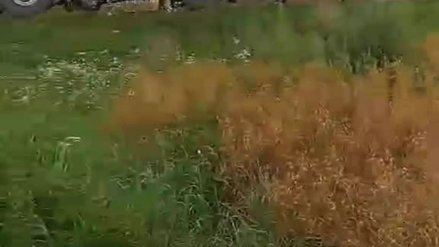 8cef3a5b-6be2-4b4c-85ff-5117f1cae607.mp4